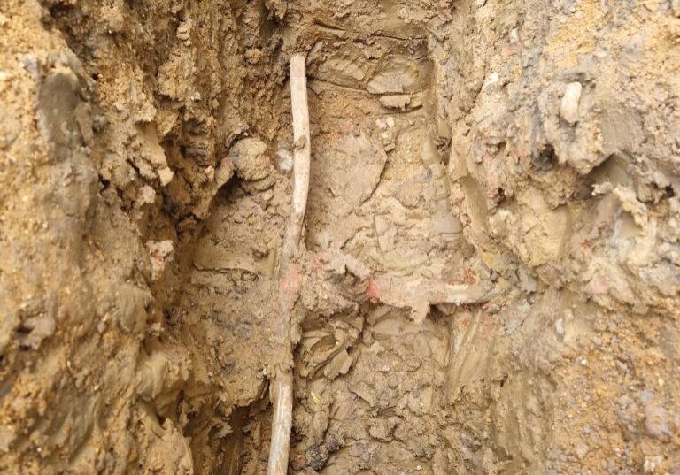 WhatsApp Image 2024-11-12 at 17.00.07